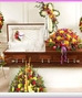 Bright Multicolored Sympathy Collection