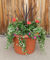 Denver, Colorado Florist Announces Full Stocked Garden Showroom Overflowing w/Spring Flwrs & Plants
