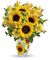 Denver, Colorado Florist Offers Back-to-School Flowers & Gifts